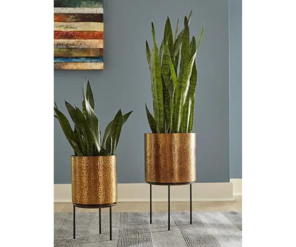 Untitled-design-2023-09-02T145233.407.png