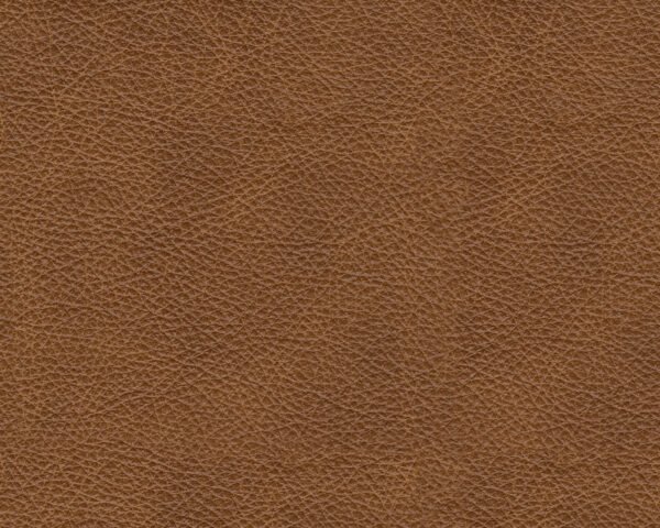 AS57604 Carianna