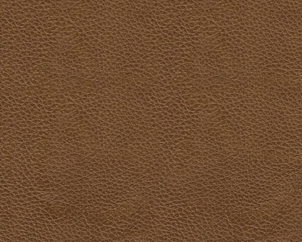 73109-BODY-A-SWATCH.jpg ASPC73109 Saonara