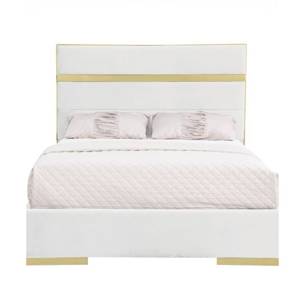 B810 Cartier (Ivory)