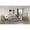 Fabiana Collection (Grey)