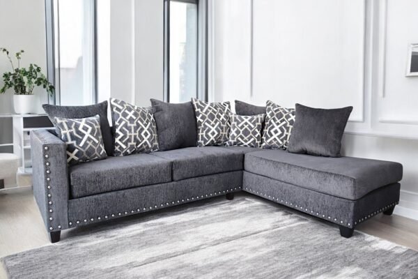 Sectional Charcoal 2019 (SOLD OUT)