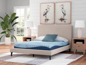 ASM204 Peak 8" Memory Foam