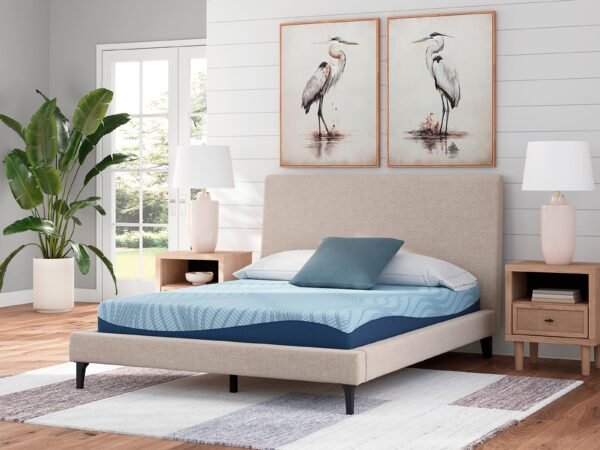 ASM204 Peak 8" Memory Foam