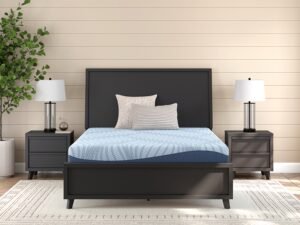 ASM205 Peak 2.0 10" Memory Foam