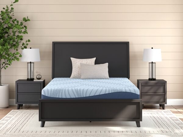 ASM205 Peak 2.0 10" Memory Foam