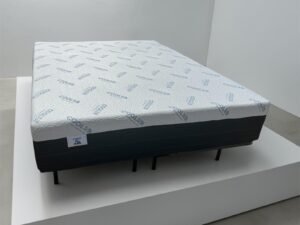 Memory Foam 12''