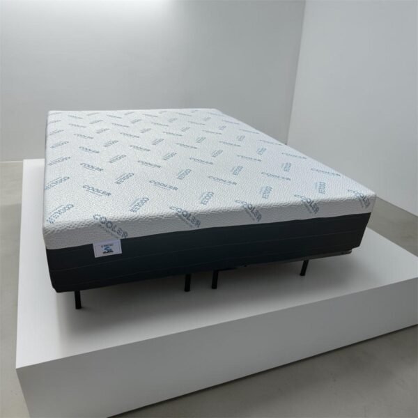 Memory Foam 12''
