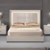 Carina Collection