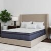 royal-pt-room-edit_orig-3.jpg ROYAL ULTRA PLUSH 12" HYBRID - Twin, Full, Queen, King