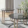 T219-13 Occasional Table Set