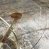 T273-13 Occasional Table Set